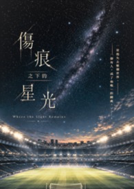 伤痕之下的星光—天才前锋的坠落